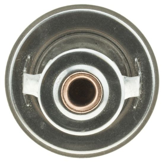 MOTOR RAD AM THERMOSTAT - 442180