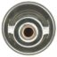 MOTOR RAD AM THERMOSTAT - 442180