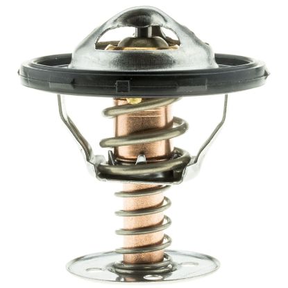 MOTOR RAD AM THERMOSTAT - 456160