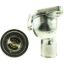 MOTOR RAD AM THERMOSTAT KIT - 5170KT