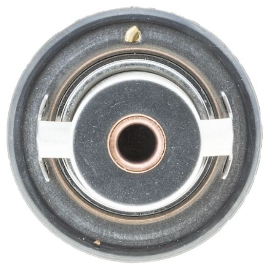 MOTOR RAD AM THERMOSTAT - 635180