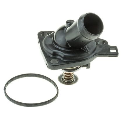 MOTOR RAD AM THERMOSTAT - 636170