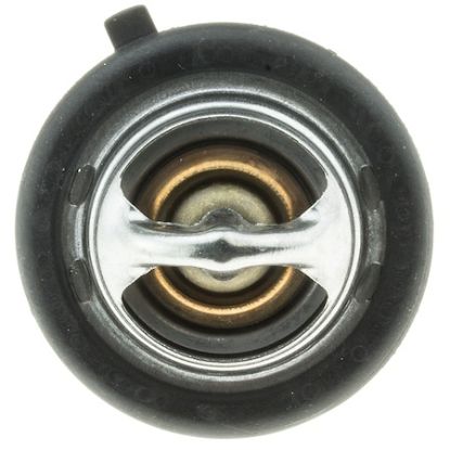 MOTOR RAD AM THERMOSTAT - 699180
