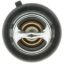 MOTOR RAD AM THERMOSTAT - 699180