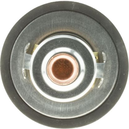 MOTOR RAD AM FAIL SAFE THERMOSTAT - 7228195
