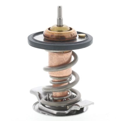 MOTOR RAD AM THERMOSTAT - 735180