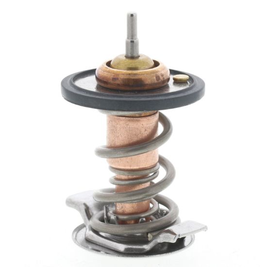 MOTOR RAD AM THERMOSTAT - 735180