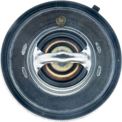 MOTOR RAD AM FAIL SAFE THERMOSTAT - 7420195