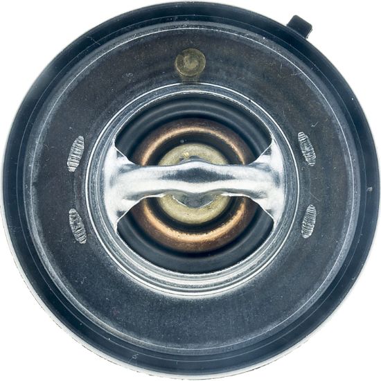 MOTOR RAD AM FAIL SAFE THERMOSTAT - 7420195