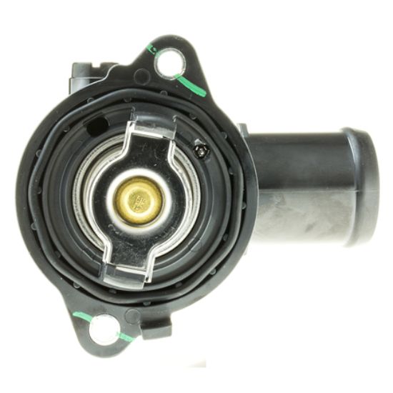 MOTOR RAD AM THERMOSTAT - 824203