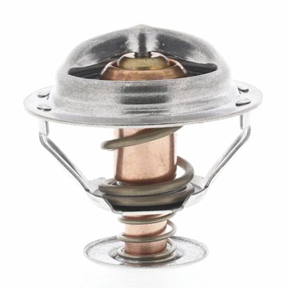 MOTOR RAD AM THERMOSTAT - 851198