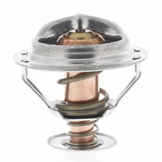 MOTOR RAD AM THERMOSTAT - 851198