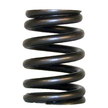CROWN AUTO VALVE SPRING - 53010388