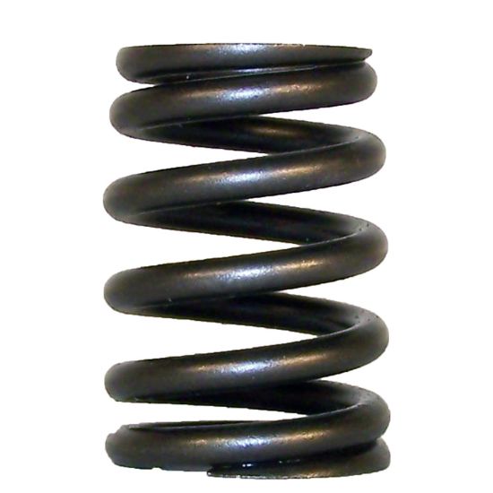 CROWN AUTO VALVE SPRING - 53010388
