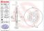 BREMBO DISC BRAKE ROTOR - 09788011