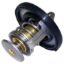 CROWN AUTO THERMOSTAT 170 DEGREE - 55111016AC