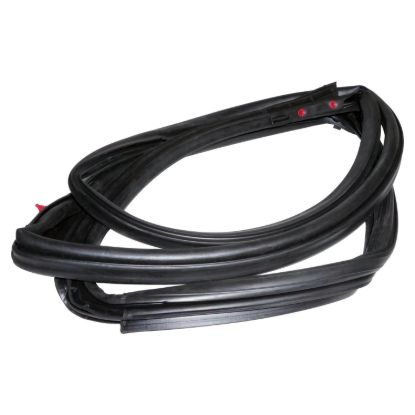 CROWN AUTO DOOR WEATHERSTRIP - 55395274AU