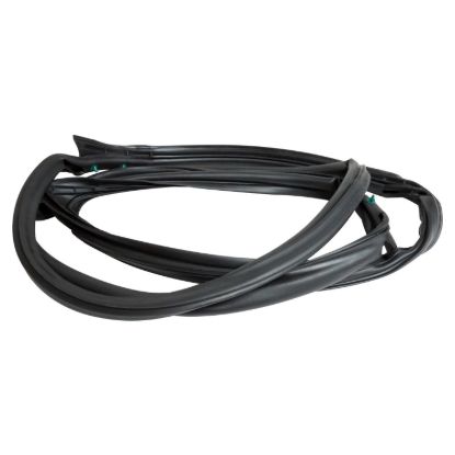 CROWN AUTO DOOR WEATHERSTRIP - 55395275AU
