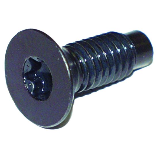 CROWN AUTO TORX SCREW - 6035757