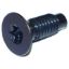 CROWN AUTO TORX SCREW - 6035757