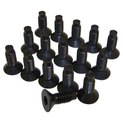 CROWN AUTO WSHIELD TORX SCREW KIT - 6035757K