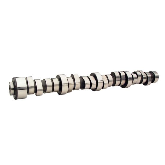 COMP CAMS XTREME MAINE HYDRA - 11250111