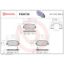 BREMBO DISC BRAKE PAD SET - P30073N