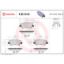 BREMBO DISC BRAKE PAD SET - P30101N