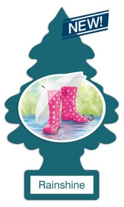 CAR FRESHNER 1-PK RAINSHINE - U1P10249