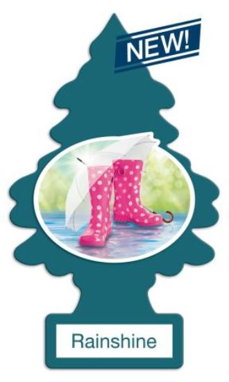 CAR FRESHNER 1-PK RAINSHINE - U1P10249