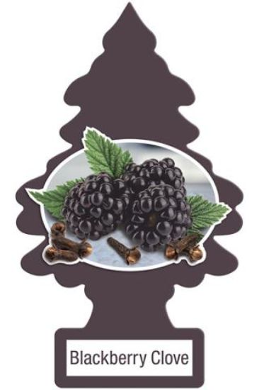 CAR FRESHNER BLACKBERRY CLOVE 1 APCK L - U1P17343