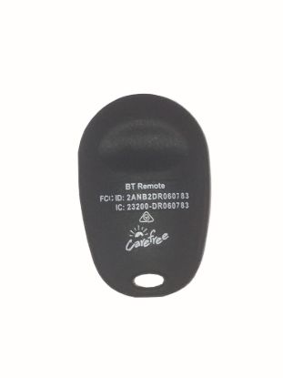 CAREFREE/CO. 12V BT REMOTE REPLACEMENT - R001911