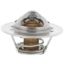 MOTOR RAD AM HP THERMOSTAT - 2000180