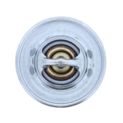MOTOR RAD AM THERMOSTAT - 200180