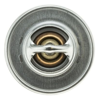 MOTOR RAD AM THERMOSTAT - 200195