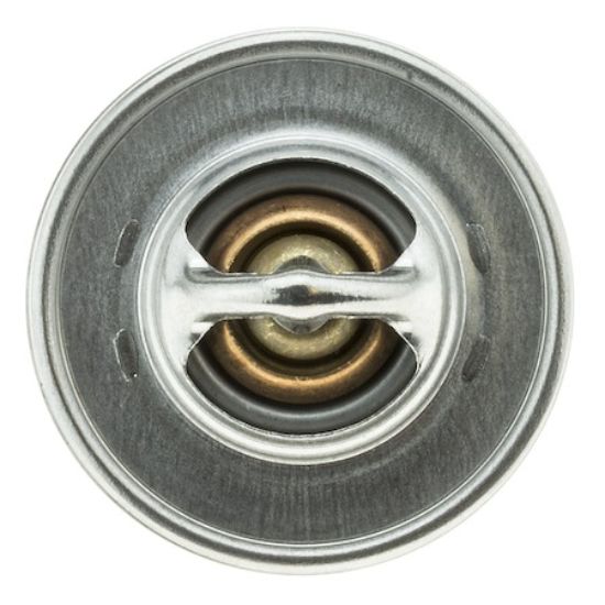 MOTOR RAD AM THERMOSTAT - 200195