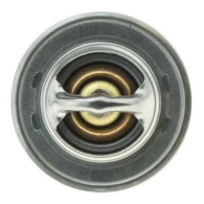 MOTOR RAD AM THERMOSTAT - 202192