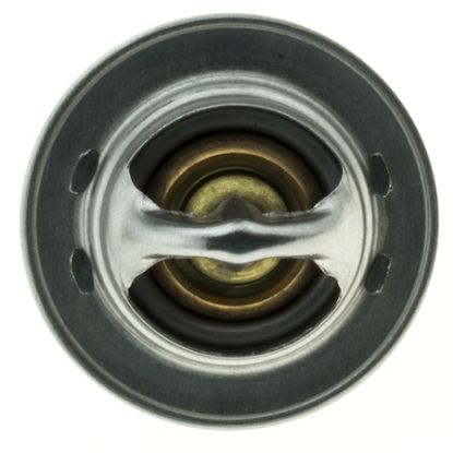 MOTOR RAD AM THERMOSTAT - 204192