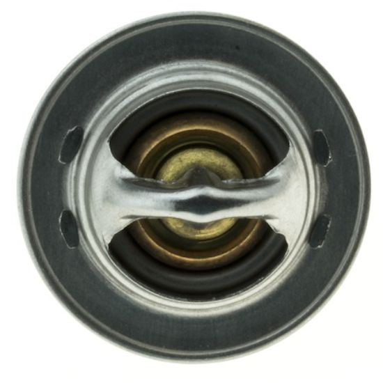 MOTOR RAD AM THERMOSTAT - 204192