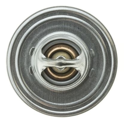 MOTOR RAD AM THERMOSTAT - 206195