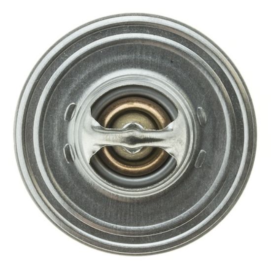 MOTOR RAD AM THERMOSTAT - 206195