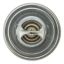 MOTOR RAD AM THERMOSTAT - 206195