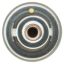 MOTOR RAD AM THERMOSTAT - 228160JV