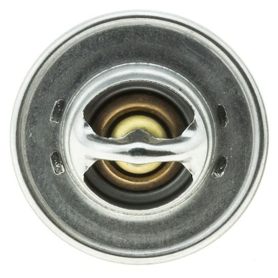 MOTOR RAD AM THERMOSTAT - 228170