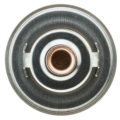 MOTOR RAD AM THERMOSTAT - 228180