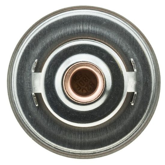 MOTOR RAD AM THERMOSTAT - 228180