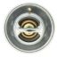 MOTOR RAD AM THERMOSTAT - 228180JV