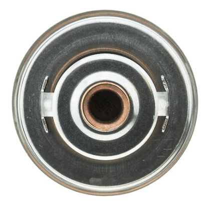 MOTOR RAD AM THERMOSTAT - 228195