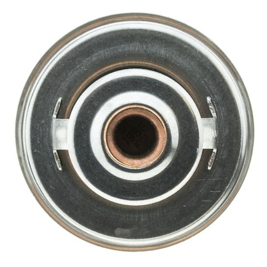MOTOR RAD AM THERMOSTAT - 228195