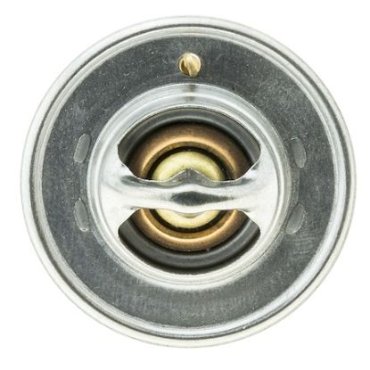 MOTOR RAD AM THERMOSTAT - 228195JV